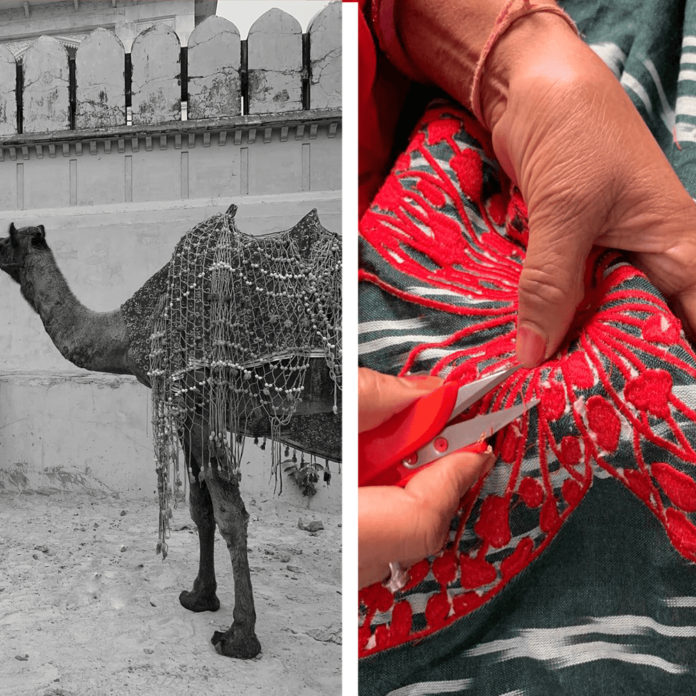 THE REAL INDIAN JOURNEY – JOIN US BEHIND THE SCENES - KLEED LOUNGEWEAR